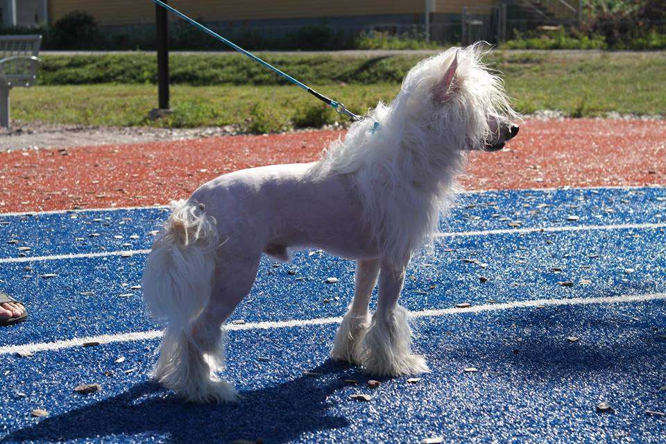 Magic'N Mystic Runs With The Winds