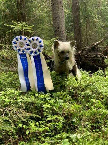 Beachcrest Hey Brother