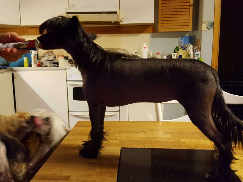 Beachcrest You Be Love