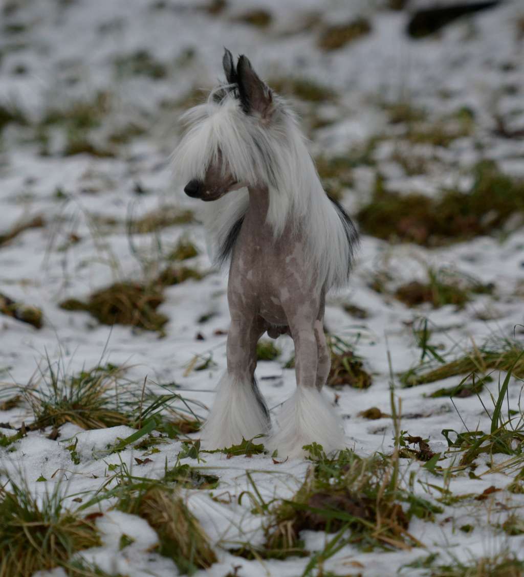 HitLine Ltd Lucky Strike