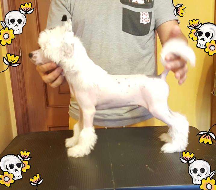 De Cabanelas Larpeirada