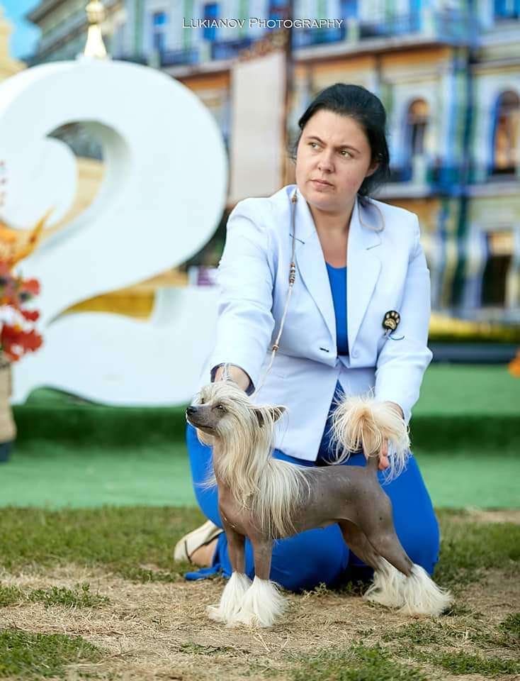 Alguiria Molosos Gratzi