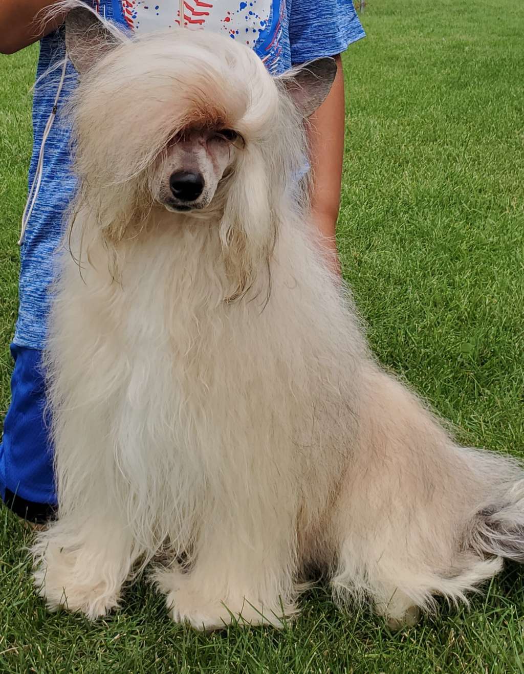 Celestial Apricot-Cha Cheating with MyAngel