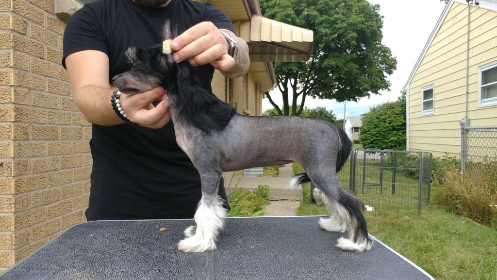 Celestial The North Remembers MyAngel