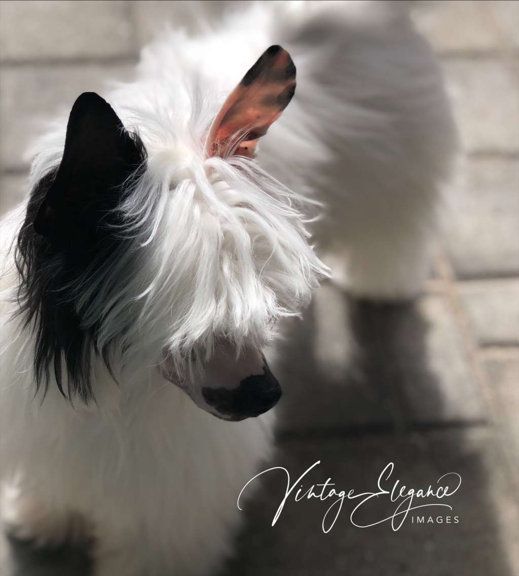 MATYLDA Kolekcja Szuwarka