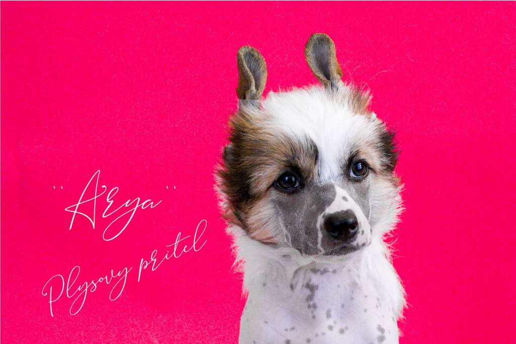 Kind Of No One Plysovy pritel