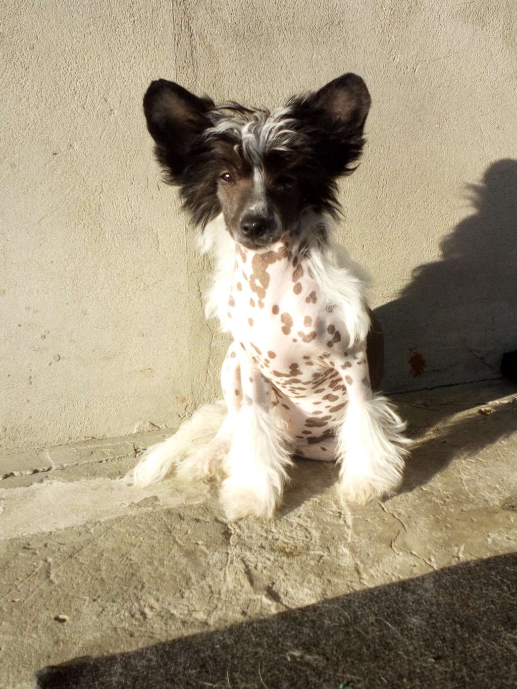 Lina's Beauty Sun Shine