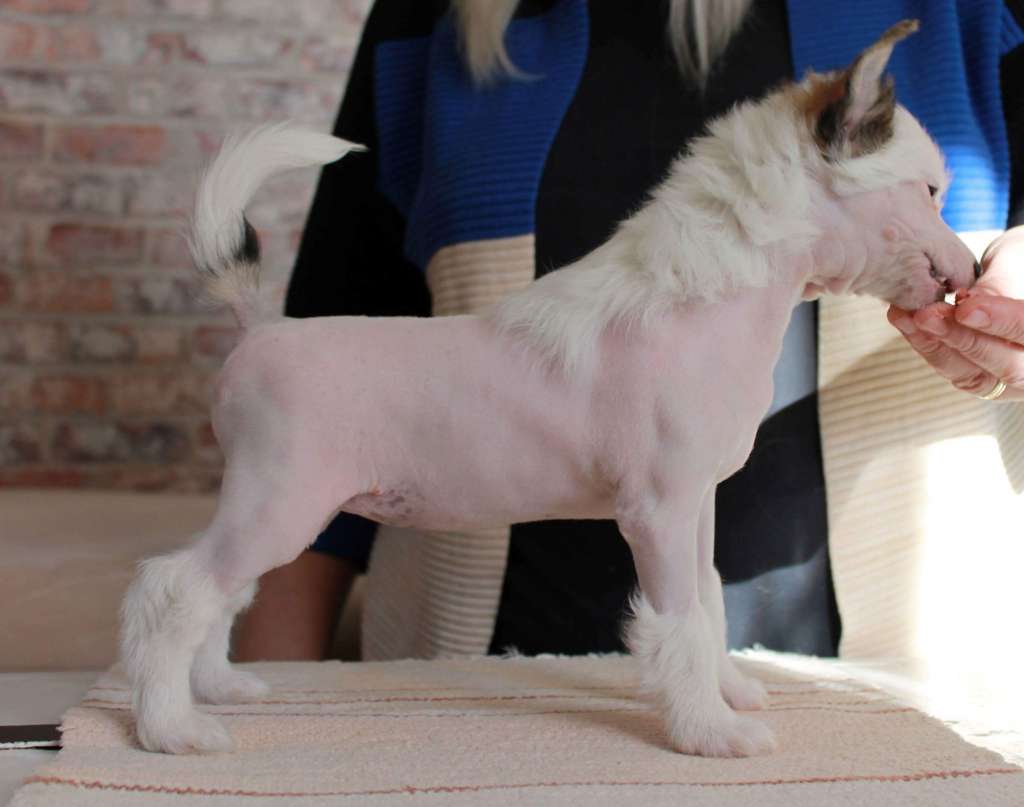 Chattanooga's Jää Mun Luo