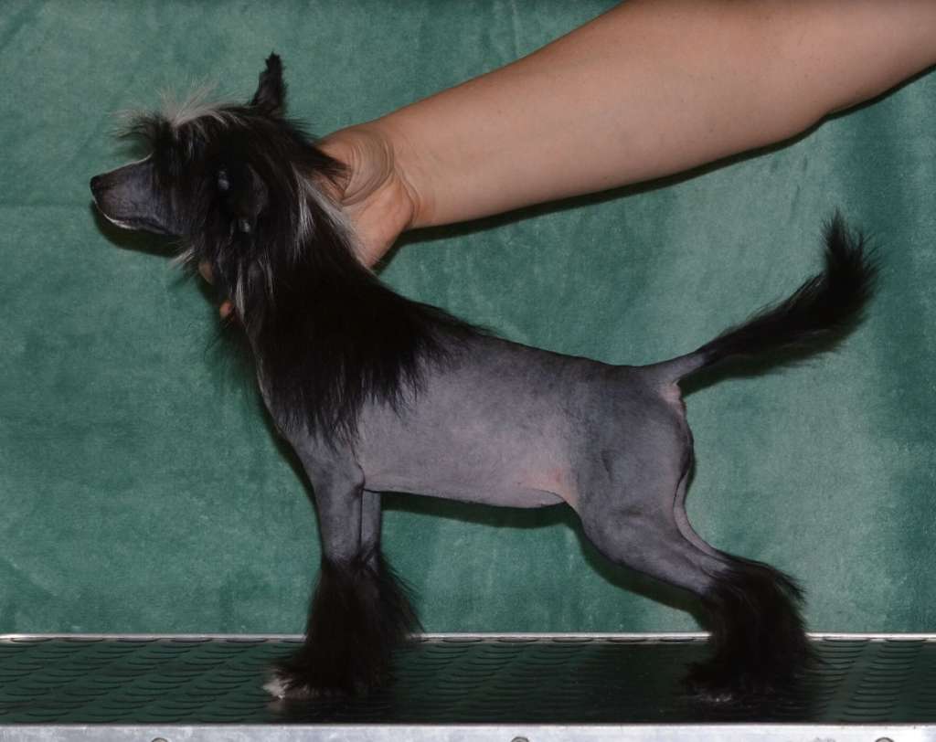 Magic of Success Andrea