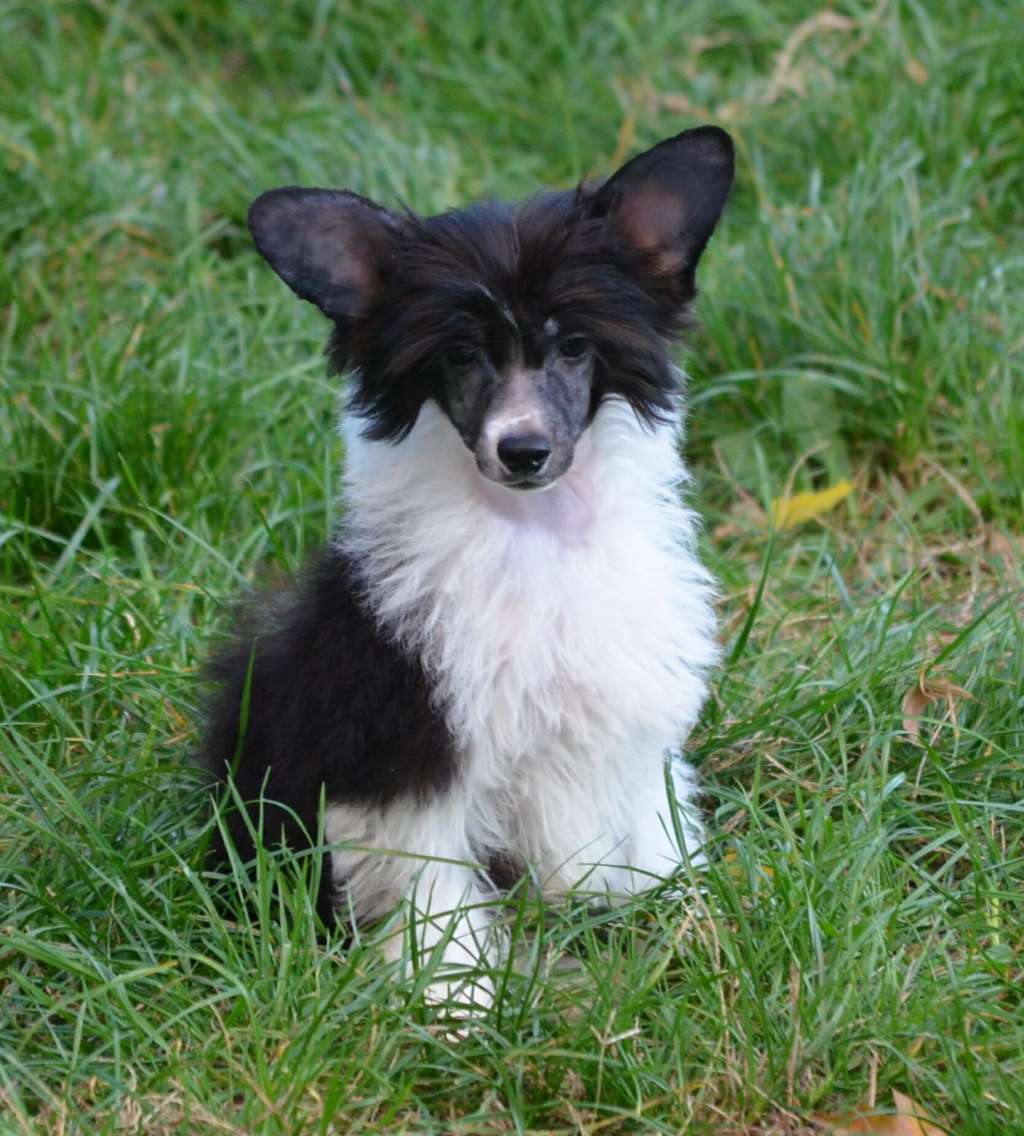 Magic of Success Amazing Discovery