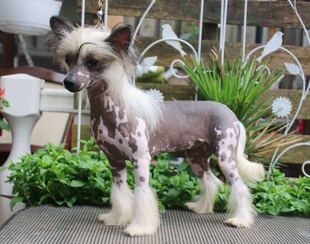 Venita of Liberty Diamond Place