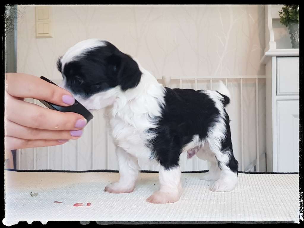 Selfcresteem's Emperor In New Clothes