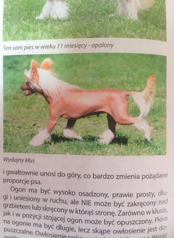 Sasquehanna (FCI) Shukran