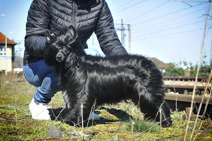 Echo Zaczarowany Flet