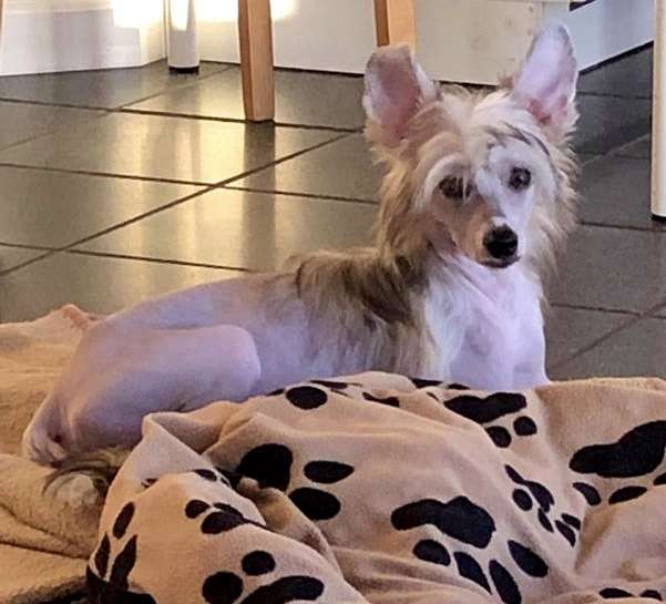 Never Ending Story von Shinbashi