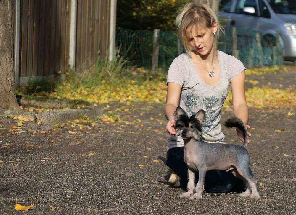 Xcellent Alika Diamond Place