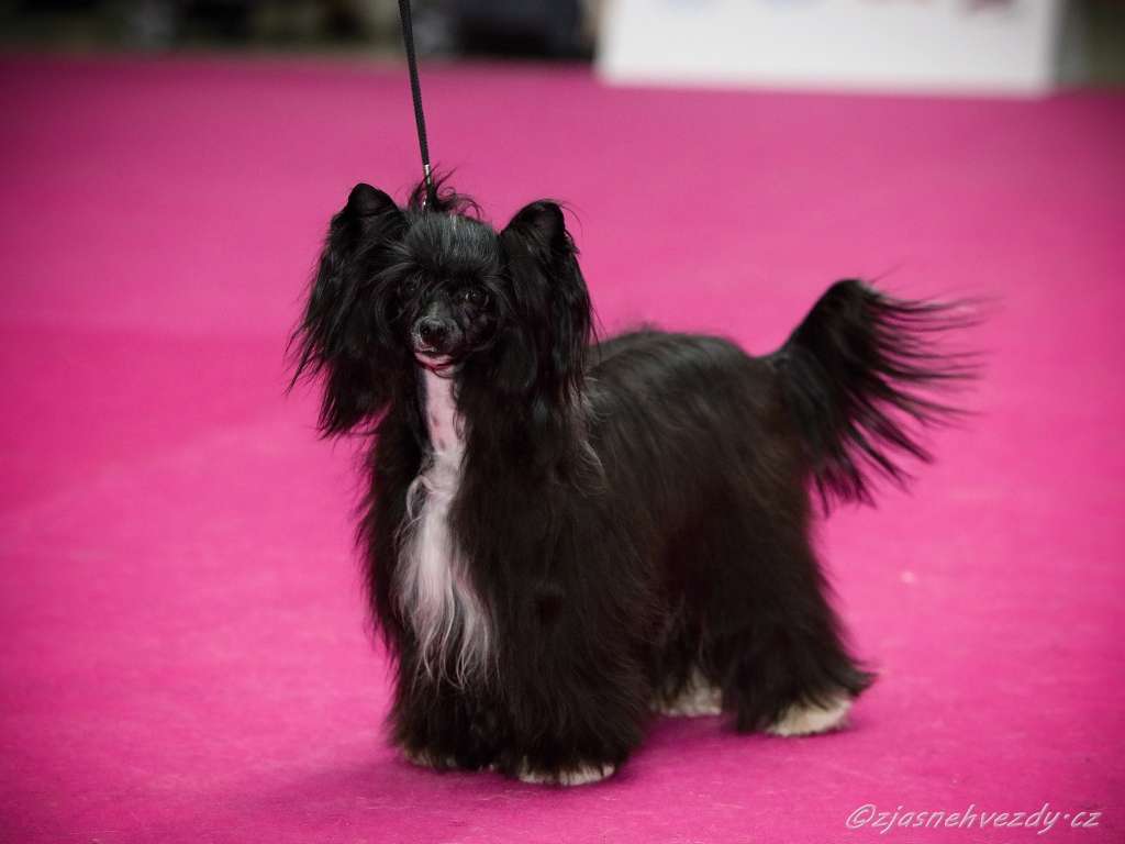 Utopia z Jasne hvezdy