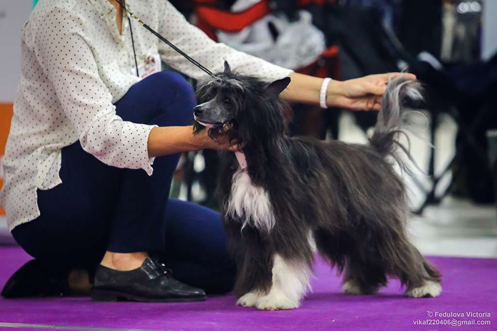 Uslada iz Chudnoy Doliny