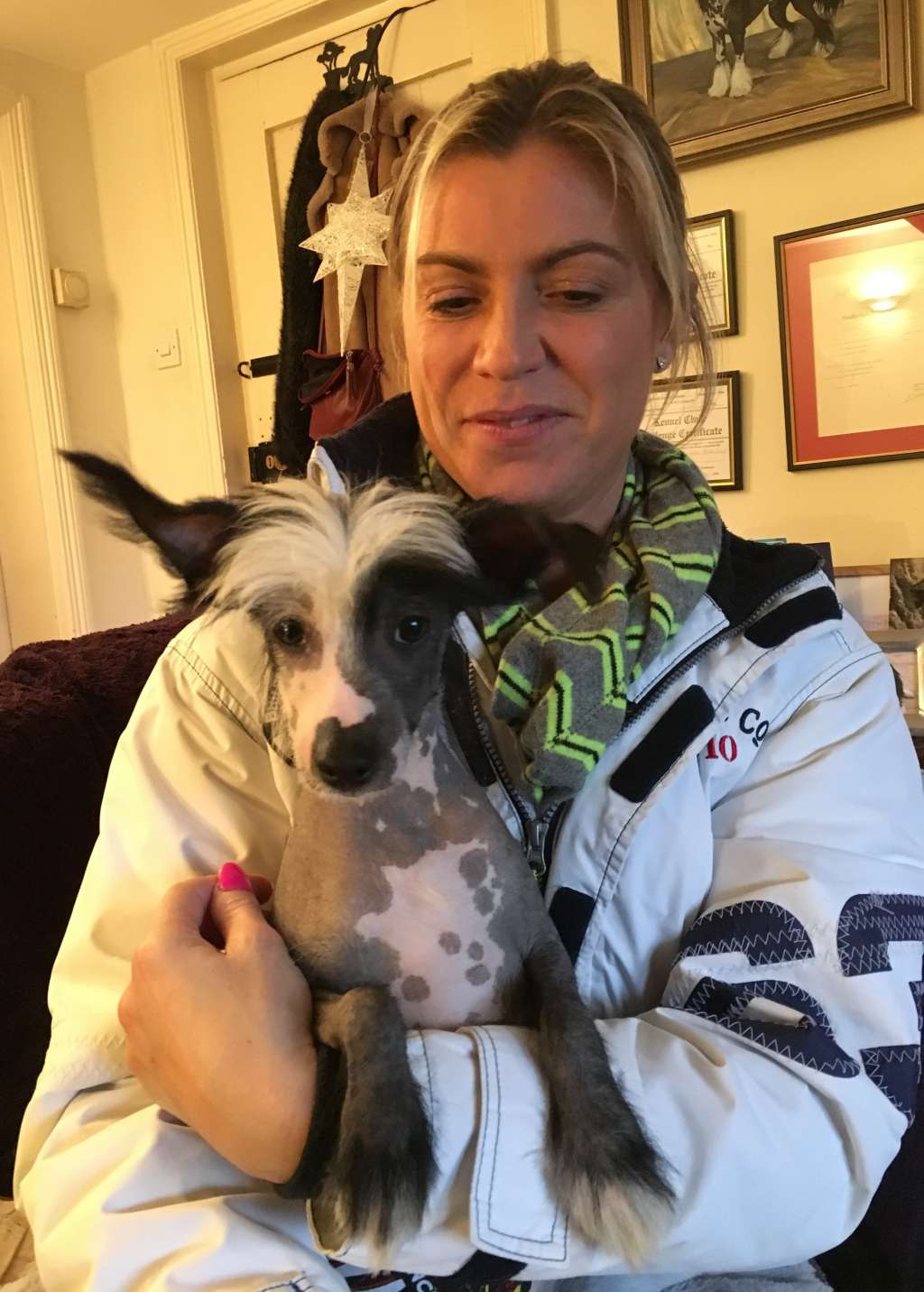 Scherzando Mony Mony