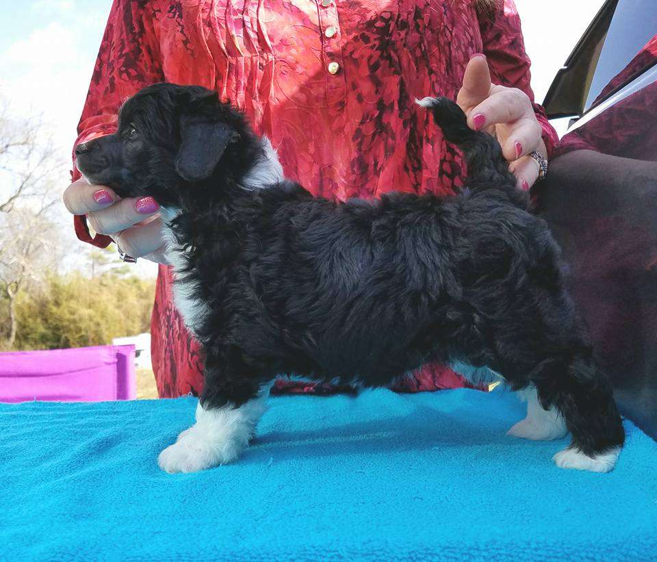 Sekhara Its Good To Be King