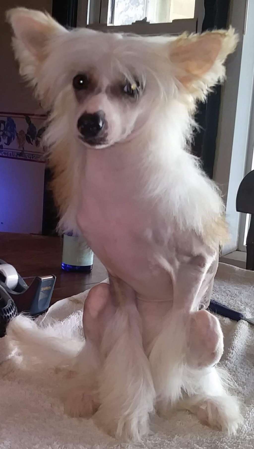 Infinity's Set Fire To The Rain