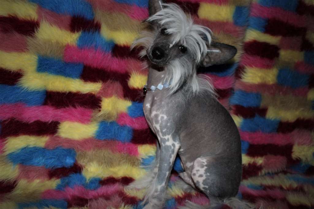 Aramis Marquis Miracolo Dell'anima