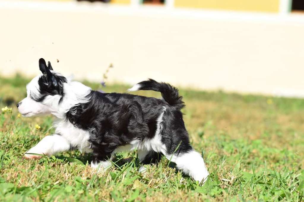 Especially You Victory's Laurel