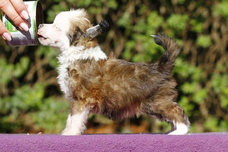 Viva La Juicy Gattaca