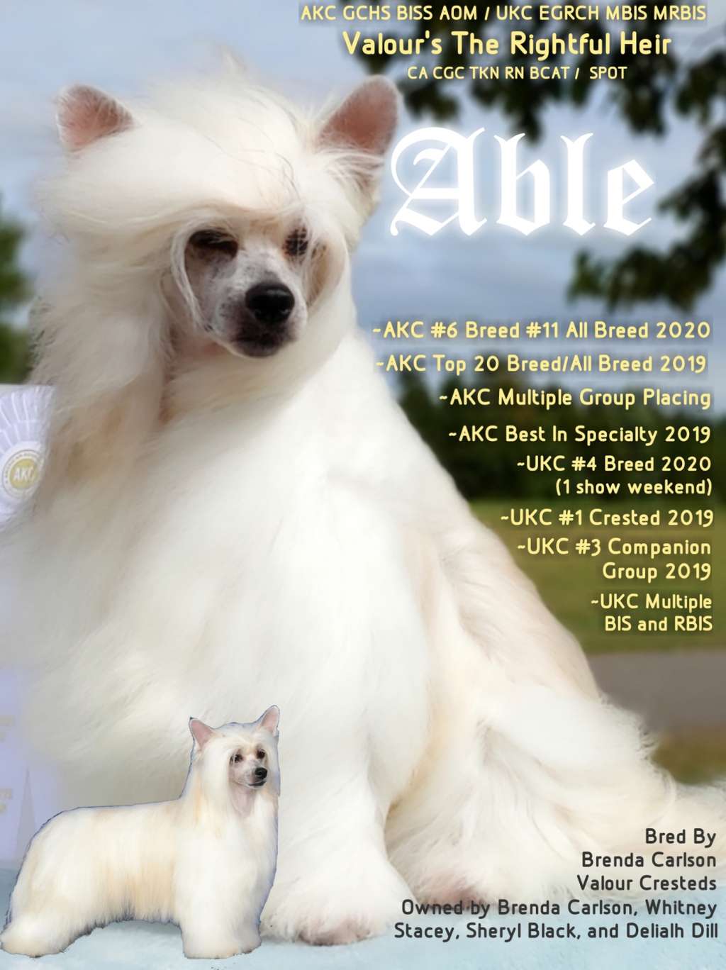 Valour's The Rightful Heir