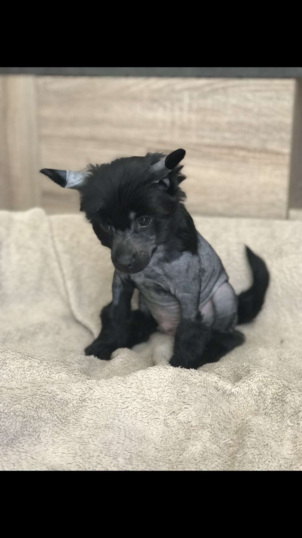 O Lathe Du Royaume d Arès