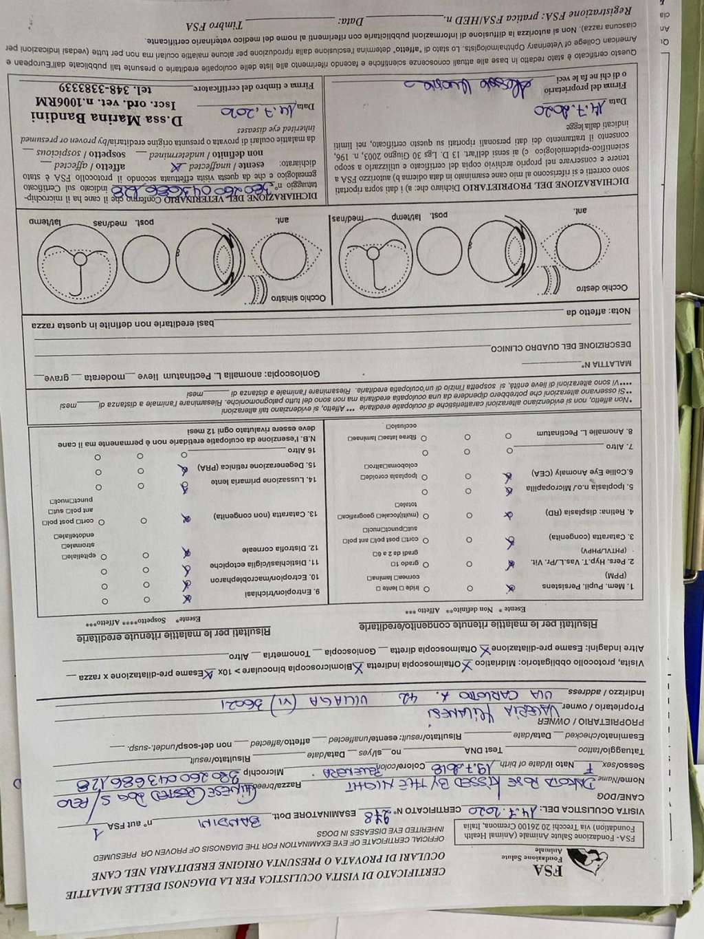 Dakota Rose  Kissed By The Night