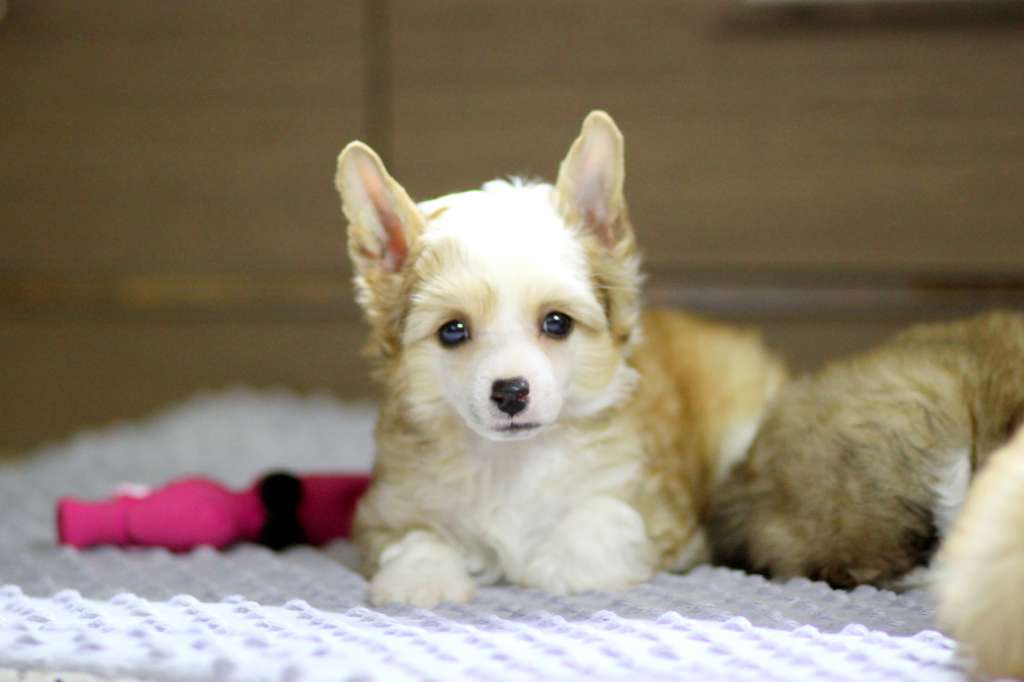 I Miss You Pretensja