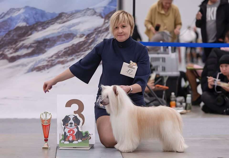 I Need You Pretensja