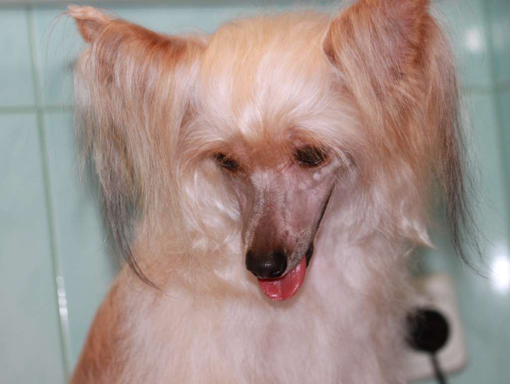 Beauty Lovely Melani