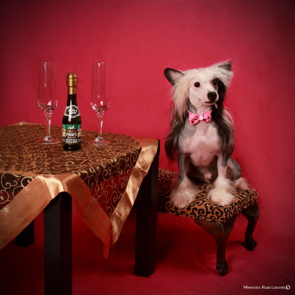 Sun Dan Tight Leather Pants