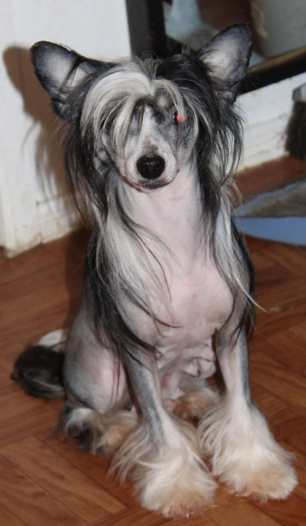 Sun Dan Dressed For Success