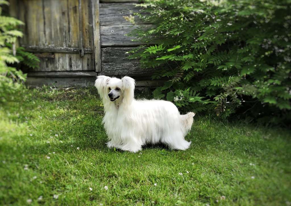 Naked Stars Don't Hate Me Cause I'm Bootiful