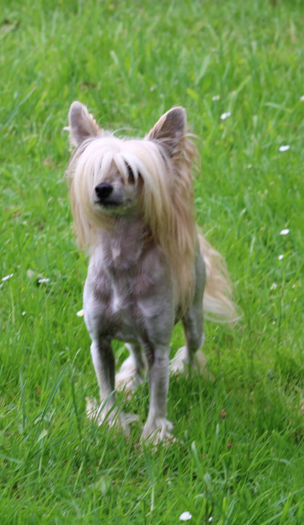 Nastas Winning Smile