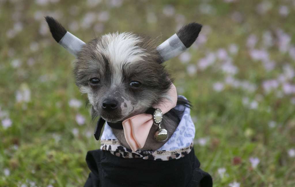 Shk9's Floating On Cloud Nine