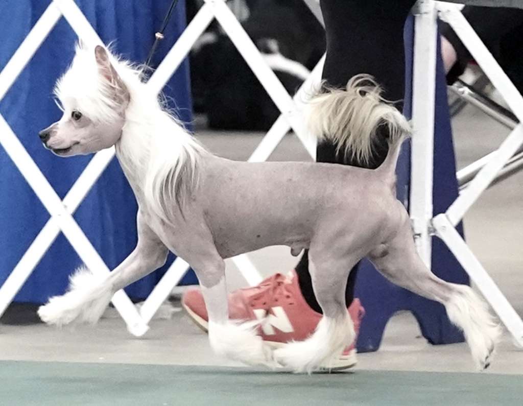 deBahTrio-Spiritual Seize Your Moment