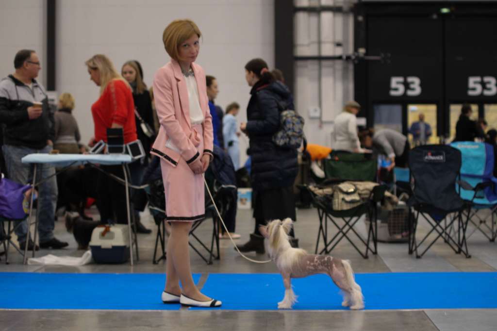 Luniks Stail California Dream