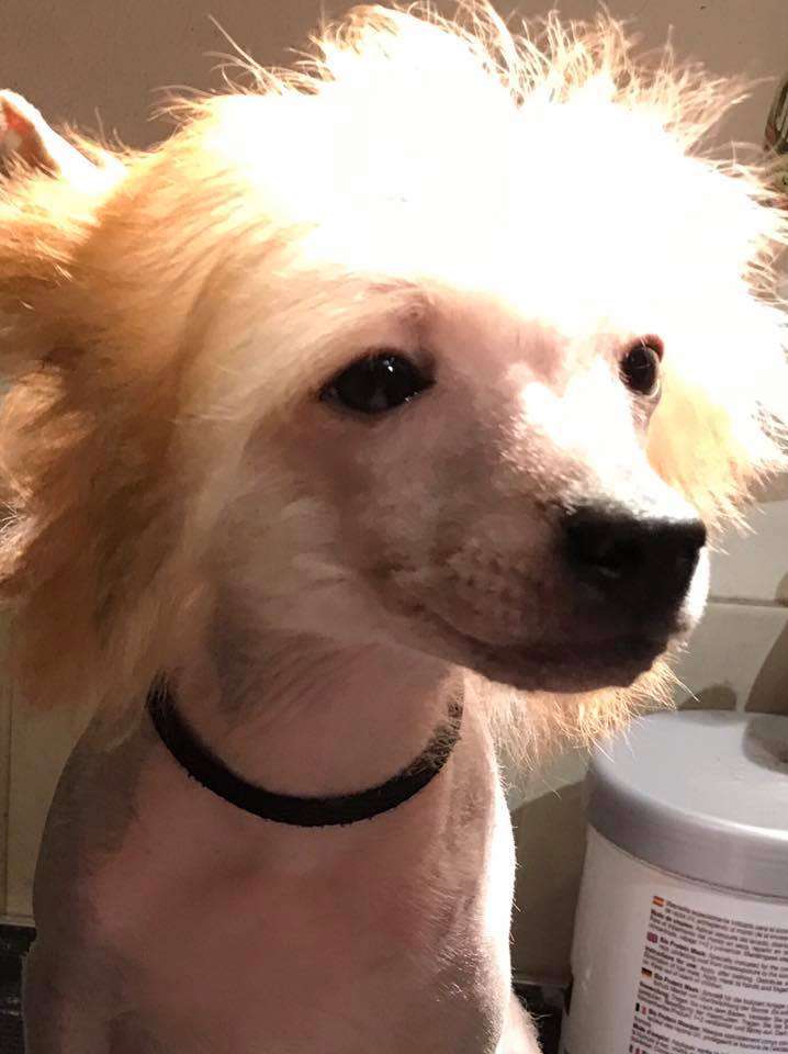 Smedbys Just For Old Time Sake