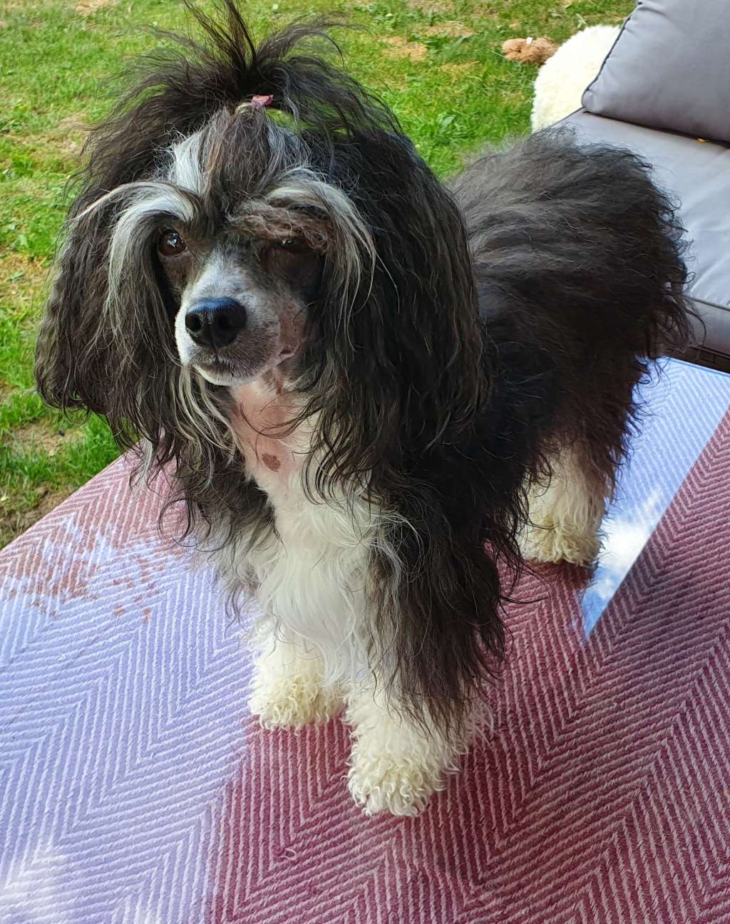 Smedbys Just Pretend