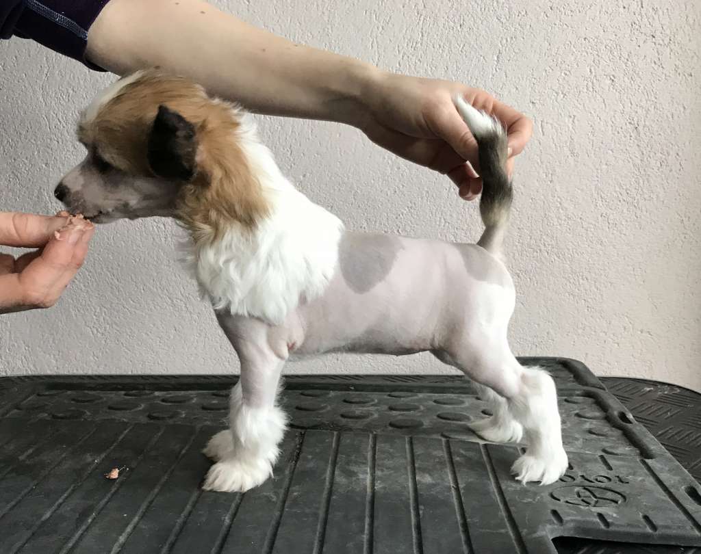 Moelmo's You Aint All That