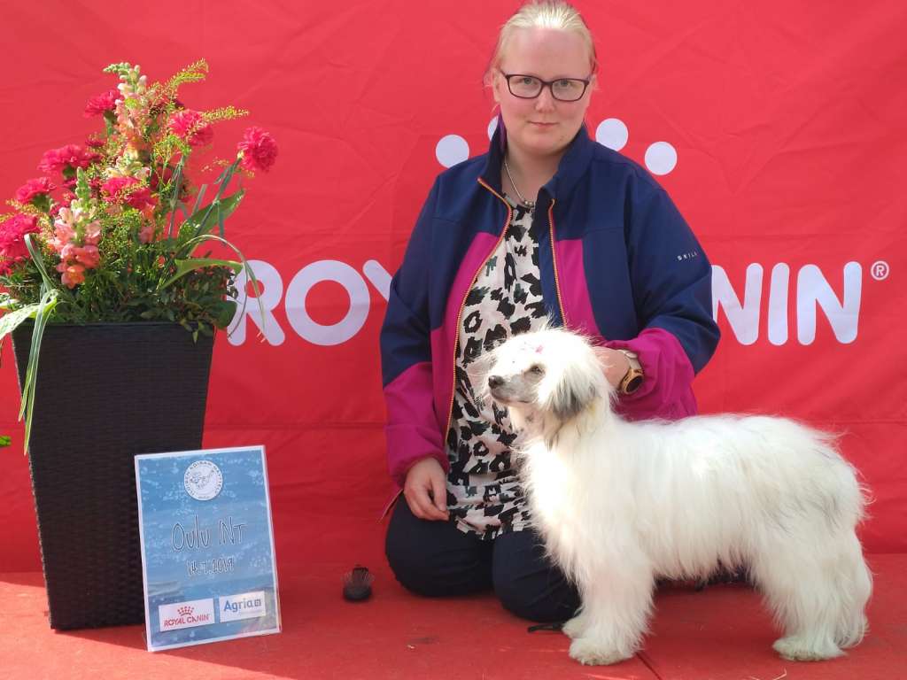 Mooncrystal's Glittery Dreams Come True