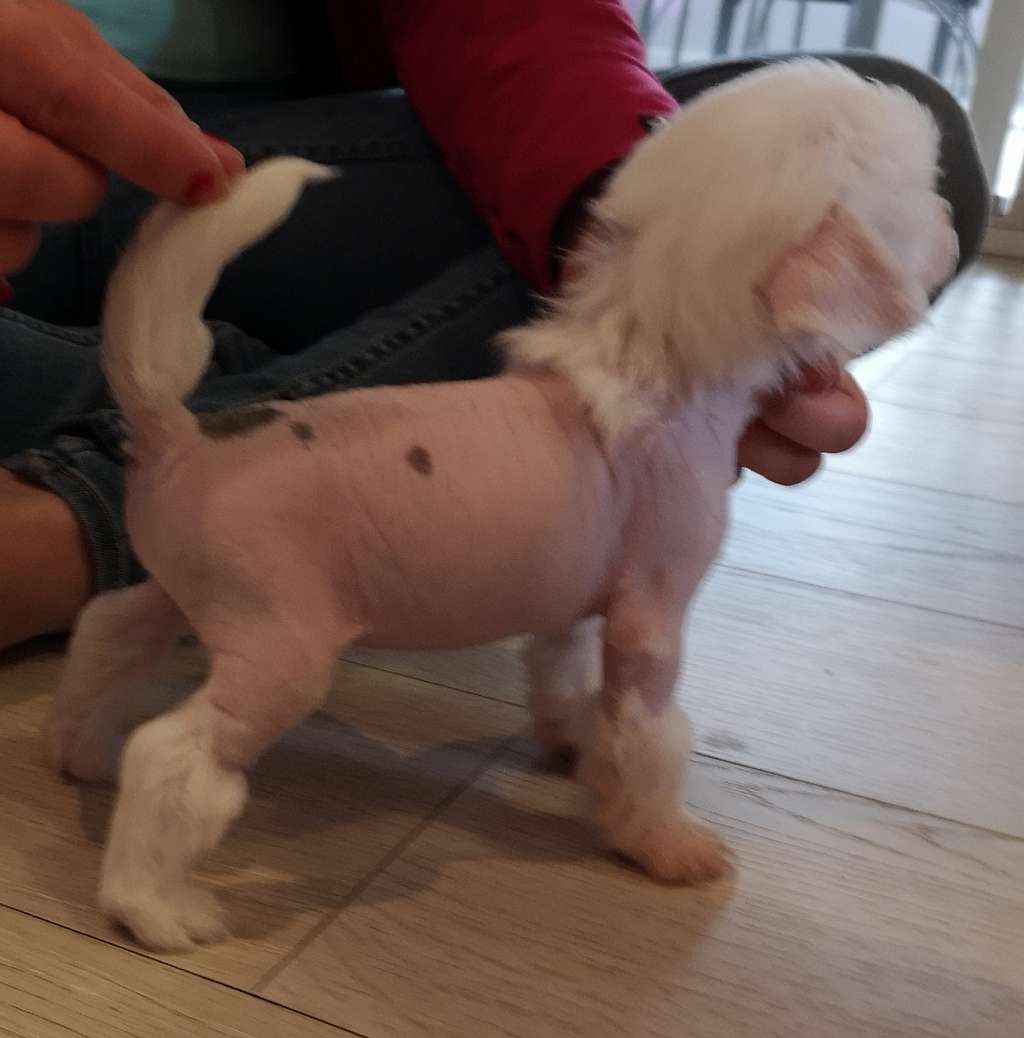 Mooncrystal's Gorgeous And You Know It