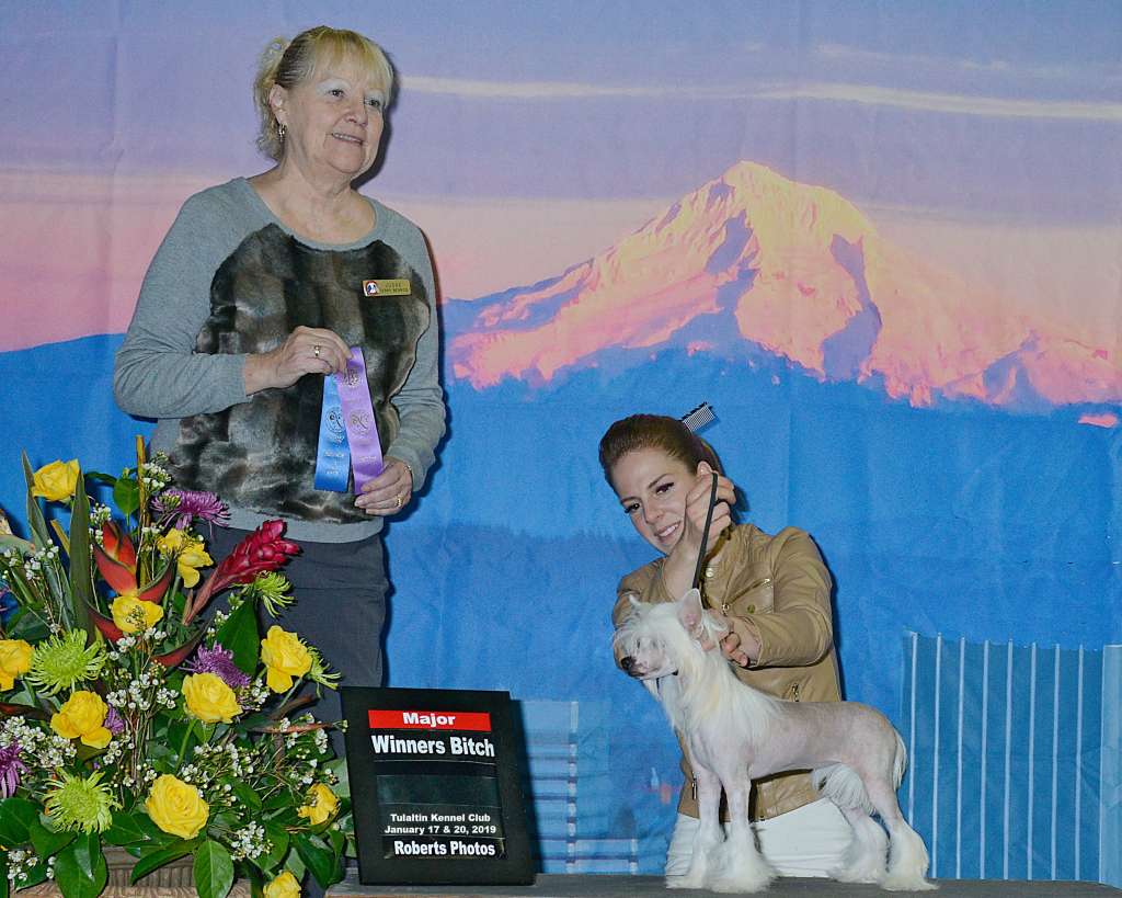 The Lion Lady's Serengeti Rainbow