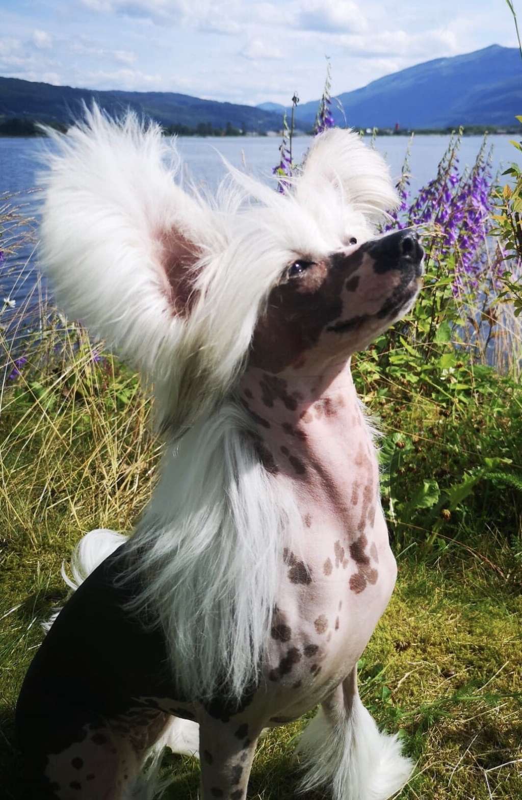 Moelmo's Your In My Space