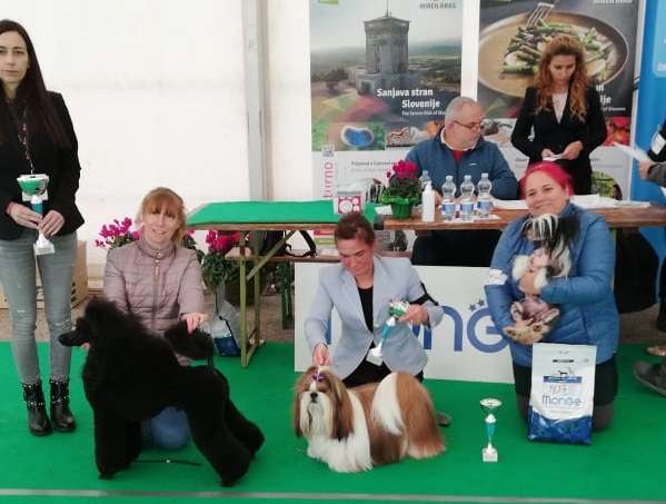 Chicavallo Burning Cherry