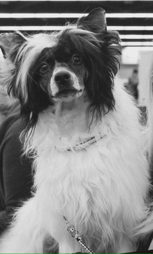 Cyrus-Buddha Cante Tinza